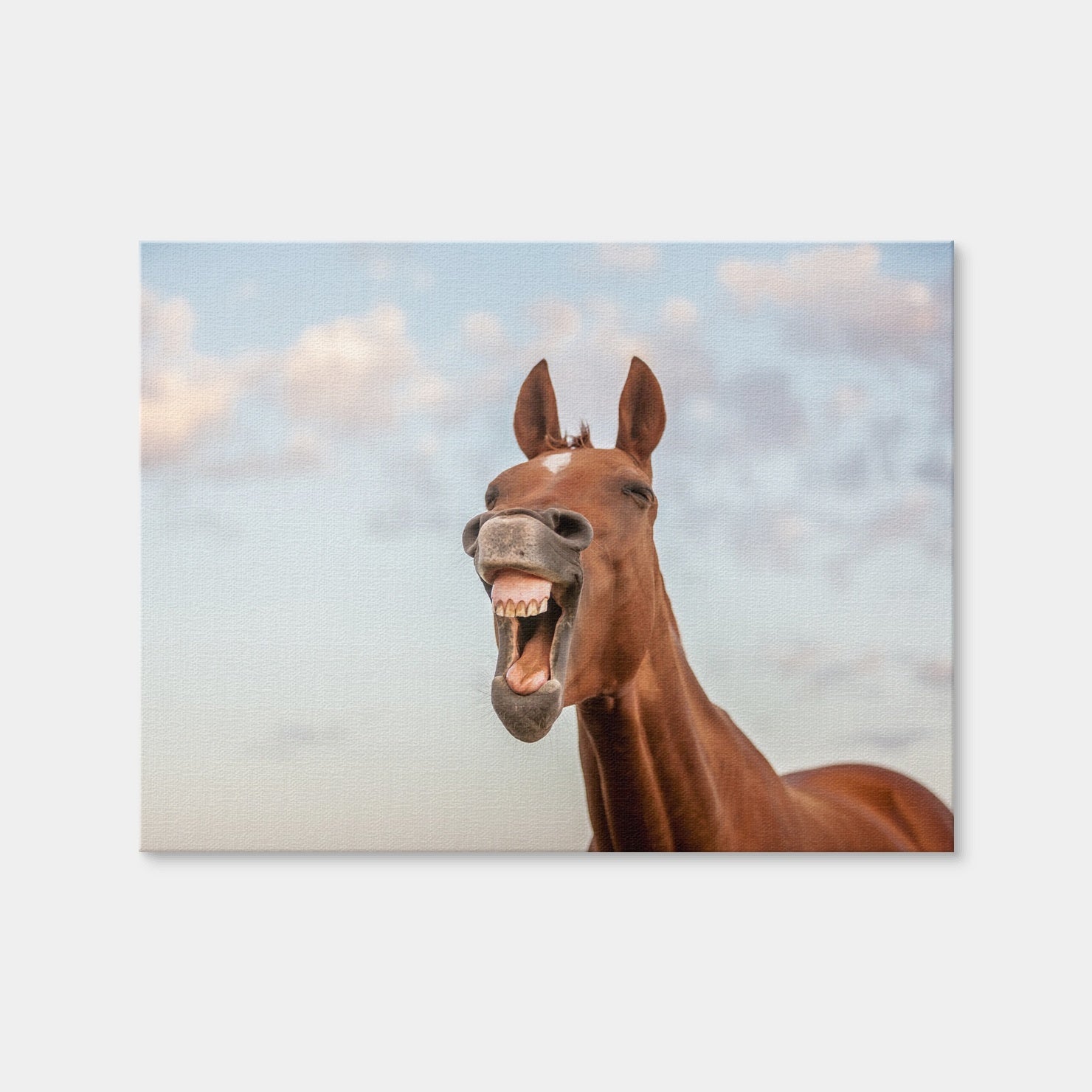 AUTO-MOCKUP WHITE | Laughing Horse | 1 Piece | Gallery Wrap Canvas | group=4x3