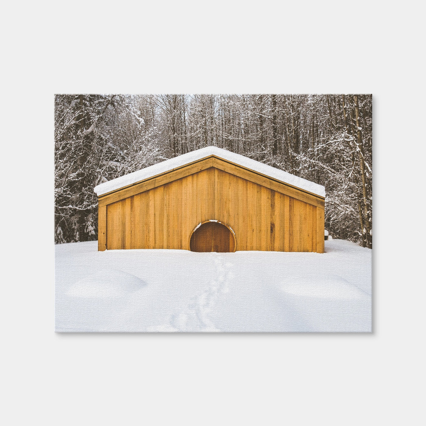 AUTO-MOCKUP WHITE | Lava Bed Provincial Park | 1 Piece | Gallery Wrap Canvas | group=4x3