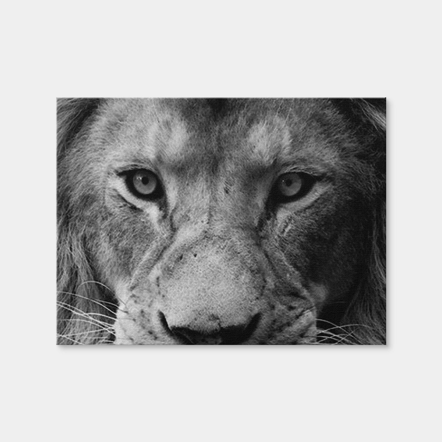 AUTO-MOCKUP WHITE | Lion | 1 Piece | Gallery Wrap Canvas | group=4x3