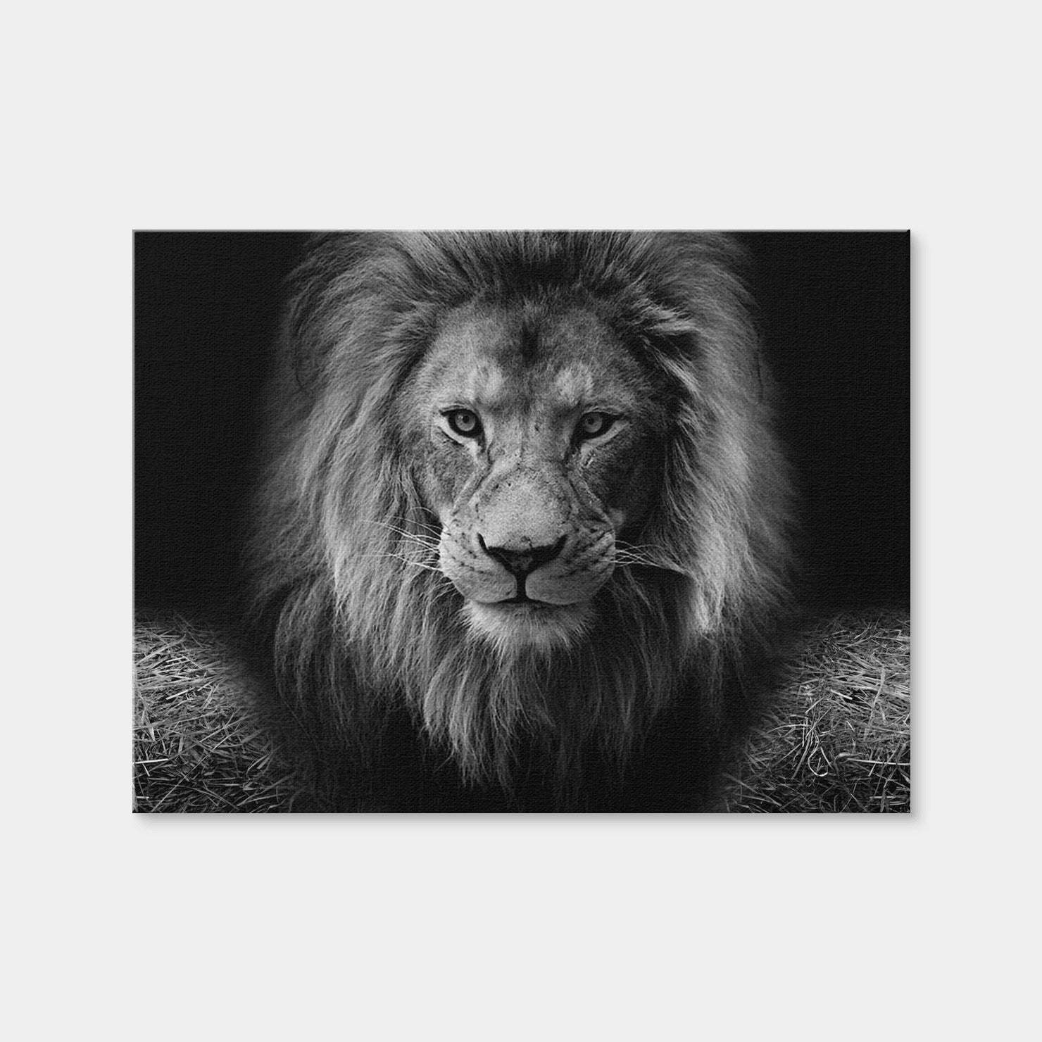 AUTO-MOCKUP WHITE | Lion Head | 1 Piece | Gallery Wrap Canvas | group=4x3