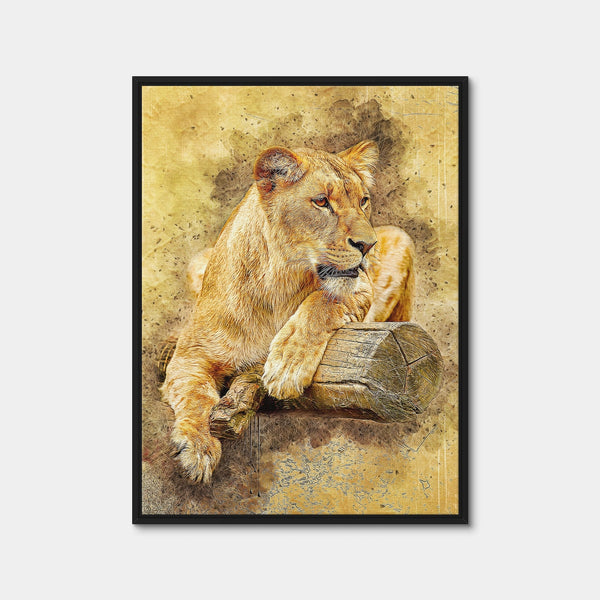 Lioness At Rest Wall Art — Framed Canvas Format preview