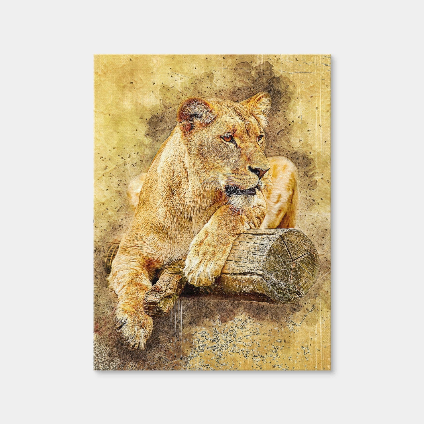 AUTO-MOCKUP WHITE | Lioness At Rest | 1 Piece | Gallery Wrap | group=3x4