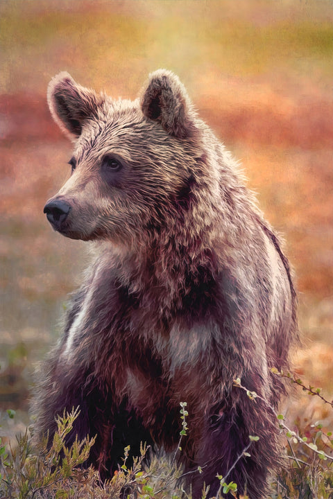 Little Brown Bear Wall Art