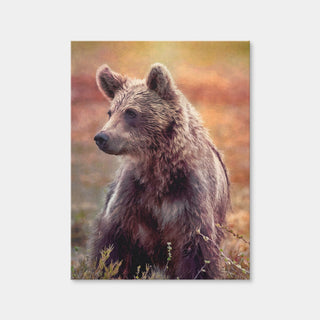 AUTO-MOCKUP WHITE | Little Brown Bear | 1 Piece | Gallery Wrap Canvas | group=3x4