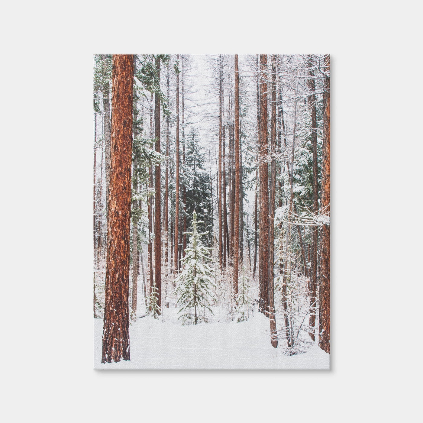 AUTO-MOCKUP WHITE | Lois Creek | 1 Piece | Gallery Wrap Canvas | group=3x4