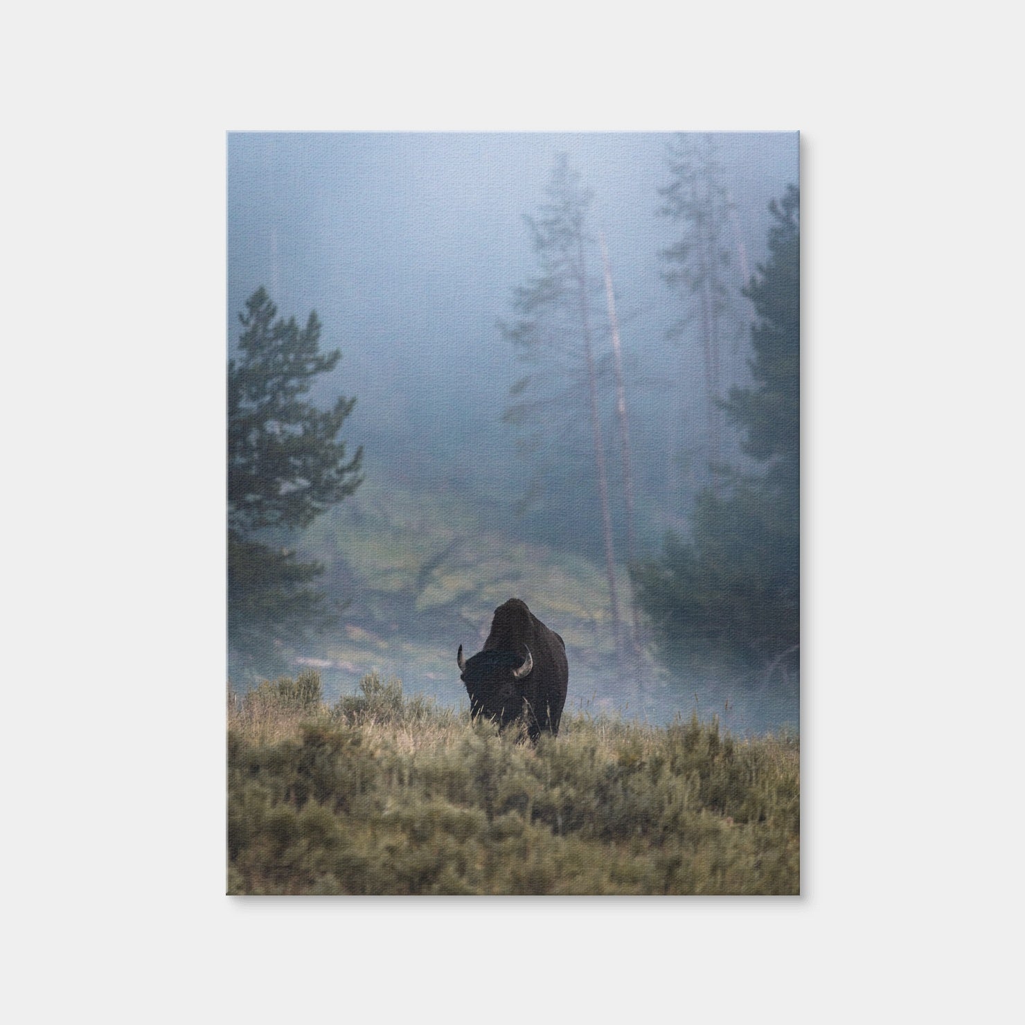 AUTO-MOCKUP WHITE | Lone Buffalo | 1 Piece | Gallery Wrap Canvas | group=3x4