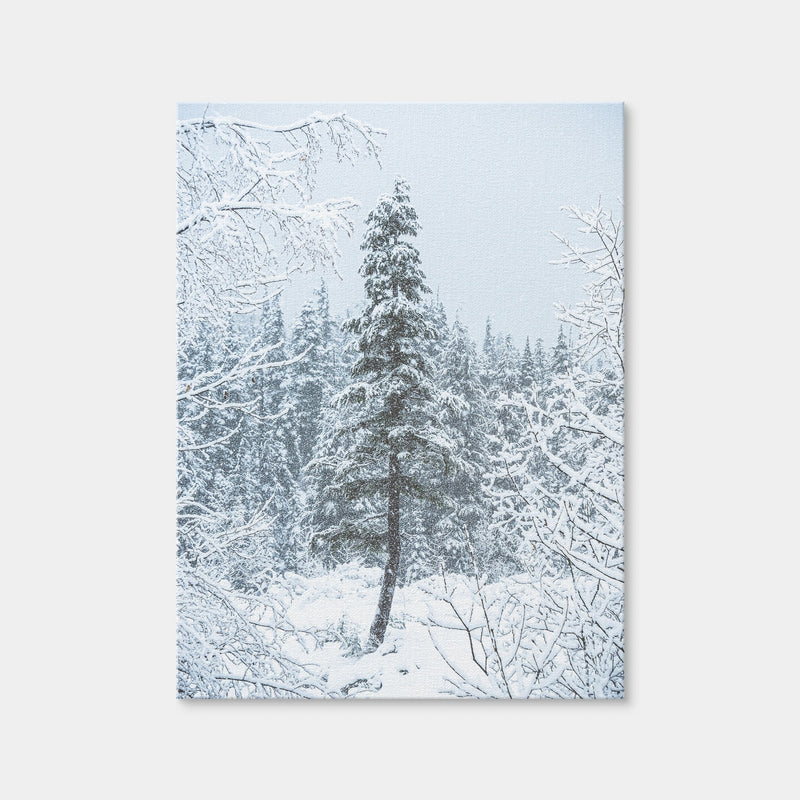 AUTO-MOCKUP WHITE | Lone Tree | 1 Piece | Gallery Wrap Canvas | group=3x4