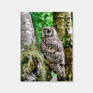 AUTO-MOCKUP WHITE | Long Eared Owl | 1 Piece | Gallery Wrap | group=3x4