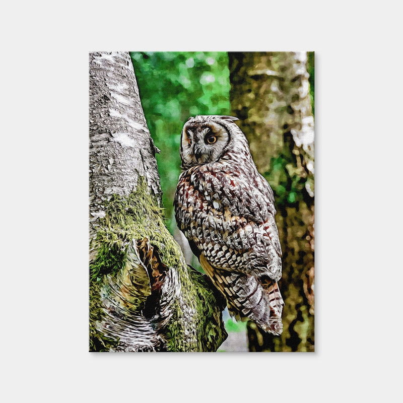 AUTO-MOCKUP WHITE | Long Eared Owl | 1 Piece | Gallery Wrap | group=3x4