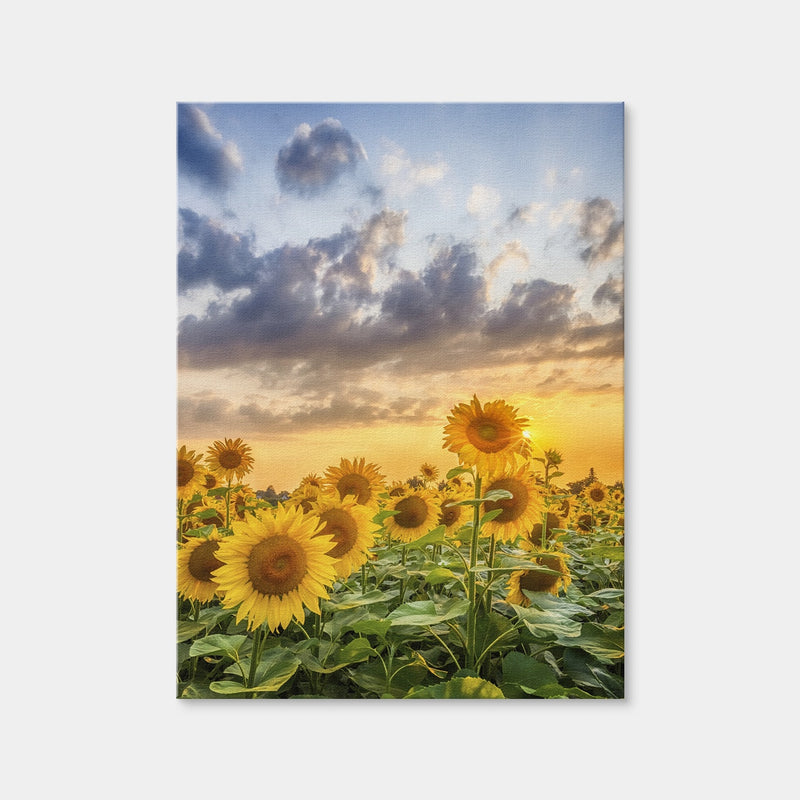 AUTO-MOCKUP WHITE | Lovely Sunflowers in Sunset | 1 Piece | Gallery Wrap Canvas | group=3x4