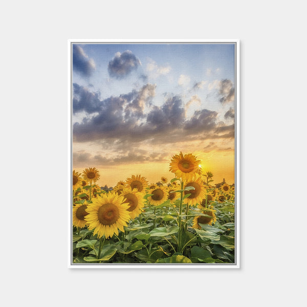 Lovely Sunflowers in Sunset Wall Art — Framed Canvas Format preview