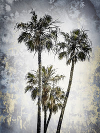 MODERN ART Lovely Palm Trees Wall Art