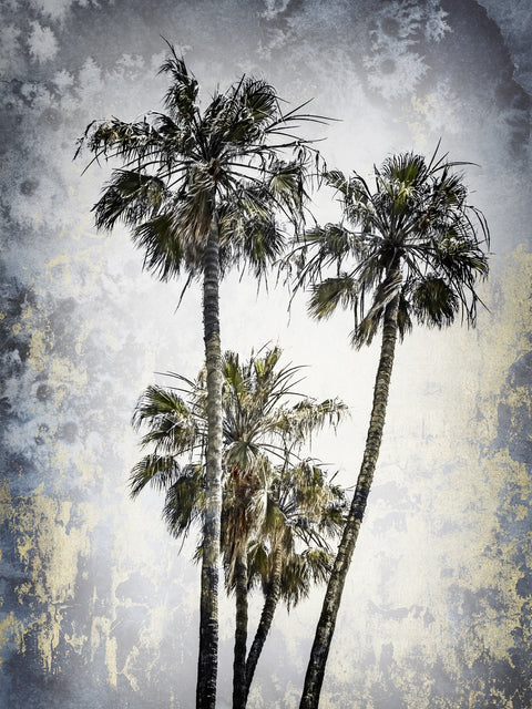 MODERN ART Lovely Palm Trees Wall Art