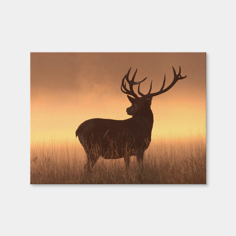 AUTO-MOCKUP WHITE | Majestic Deer | 1 Piece | Gallery Wrap Canvas | group=4x3