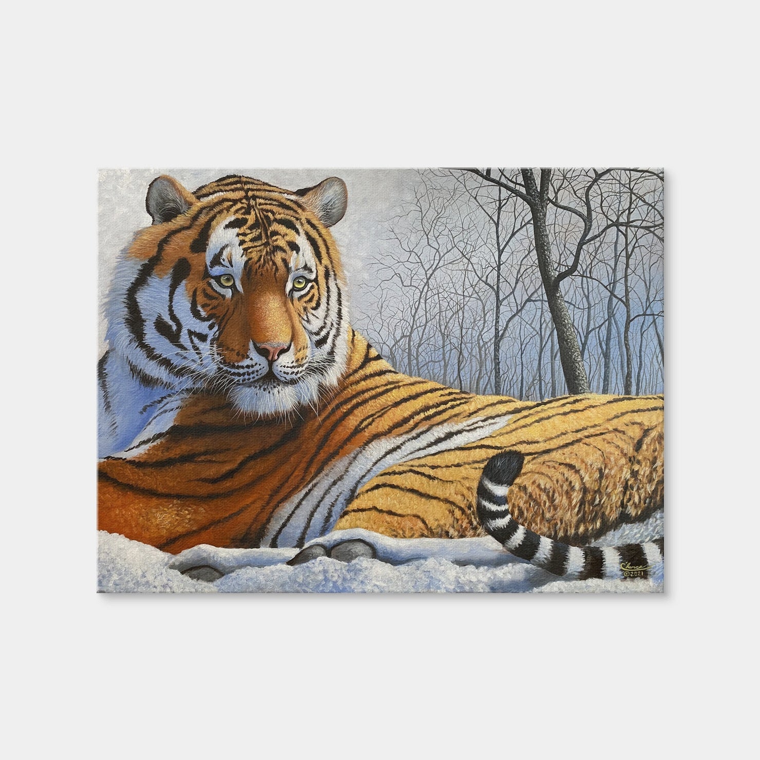 AUTO-MOCKUP WHITE | Majestic Tiger | 1 Piece | Gallery Wrap Canvas | group=4x3