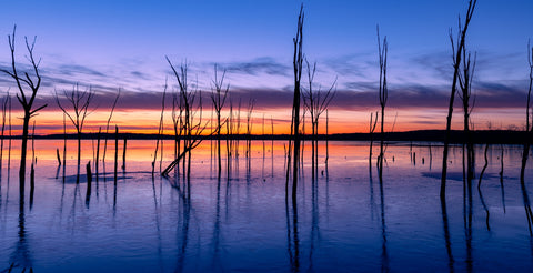 Manasquan Reservoir Wall Art