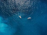 Maritime Meeting Wall Art