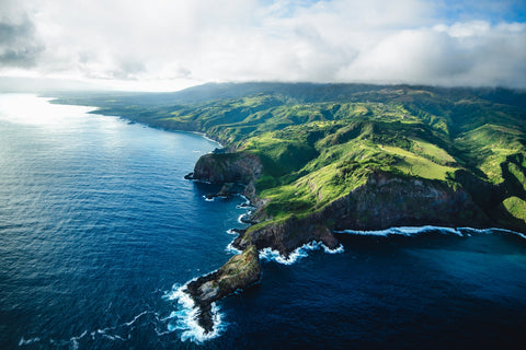 Maui Coast Wall Art