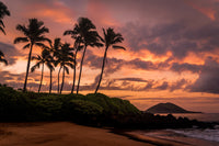 Maui Morning Wall Art
