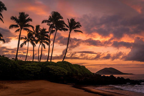 Maui Morning Wall Art