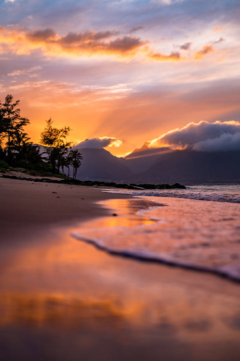 Maui Reflections Wall Art
