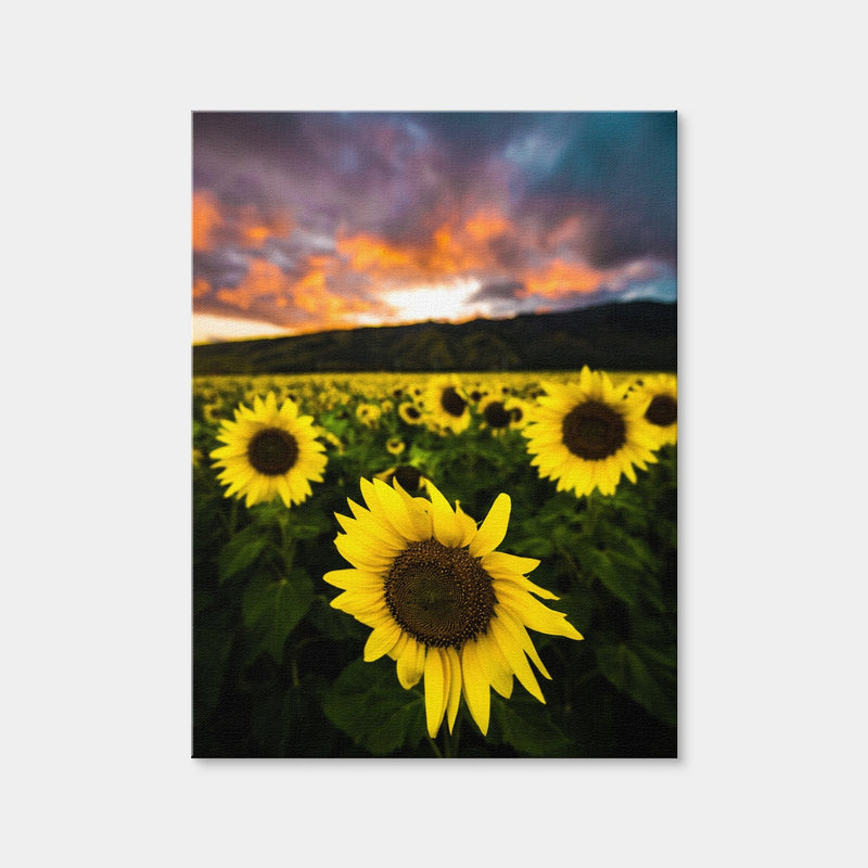AUTO-MOCKUP WHITE | Maui Sunflowers | 1 Piece | Gallery Wrap Canvas | group=3x4
