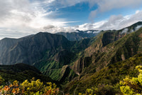 Maui Valley Wall Art