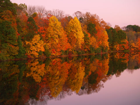 Mirrored Autumn Twilight at Lake Nockamixon Wall Art
