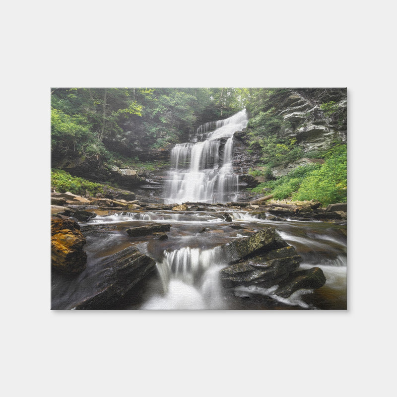 AUTO-MOCKUP WHITE | Misty Monster | 1 Piece | Gallery Wrap | group=4x3