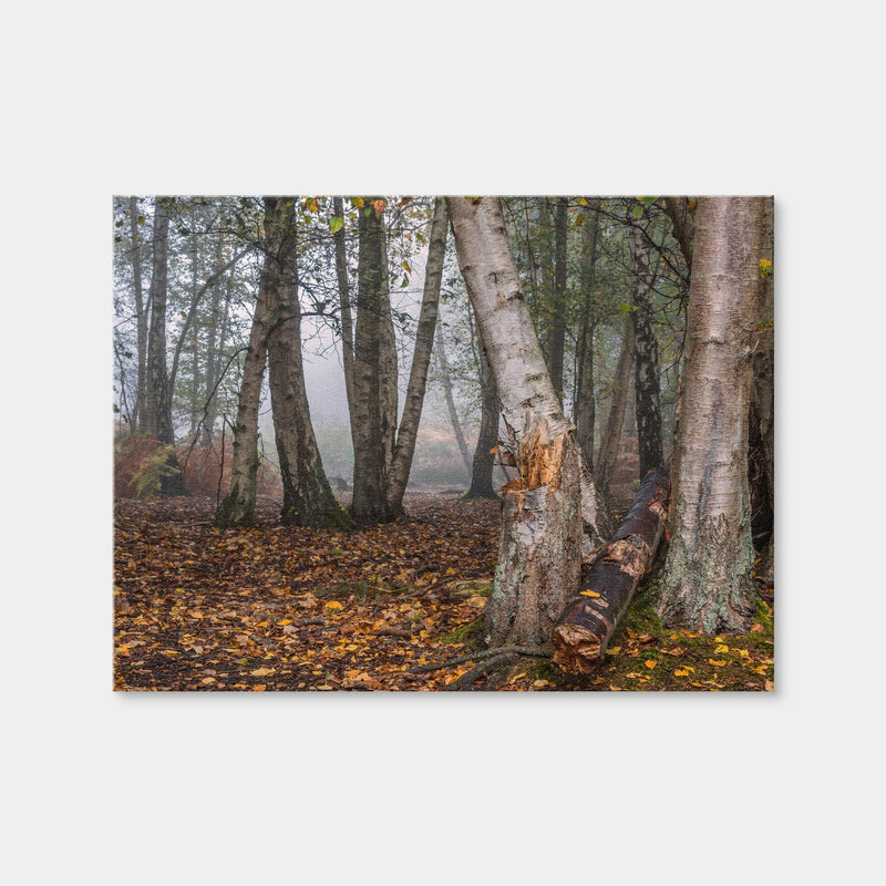 AUTO-MOCKUP WHITE | Misty Morning | 1 Piece | Gallery Wrap Canvas | group=4x3