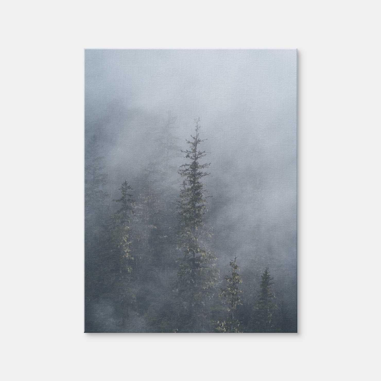 AUTO-MOCKUP WHITE | Misty Trees 2 | 1 Piece | Gallery Wrap Canvas | group=3x4