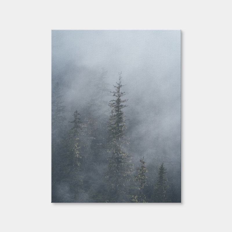 AUTO-MOCKUP WHITE | Misty Trees 2 | 1 Piece | Gallery Wrap Canvas | group=3x4