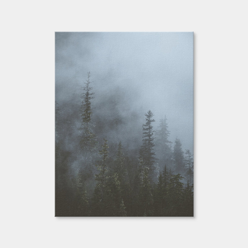 AUTO-MOCKUP WHITE | Misty Trees 3 | 1 Piece | Gallery Wrap Canvas | group=3x4