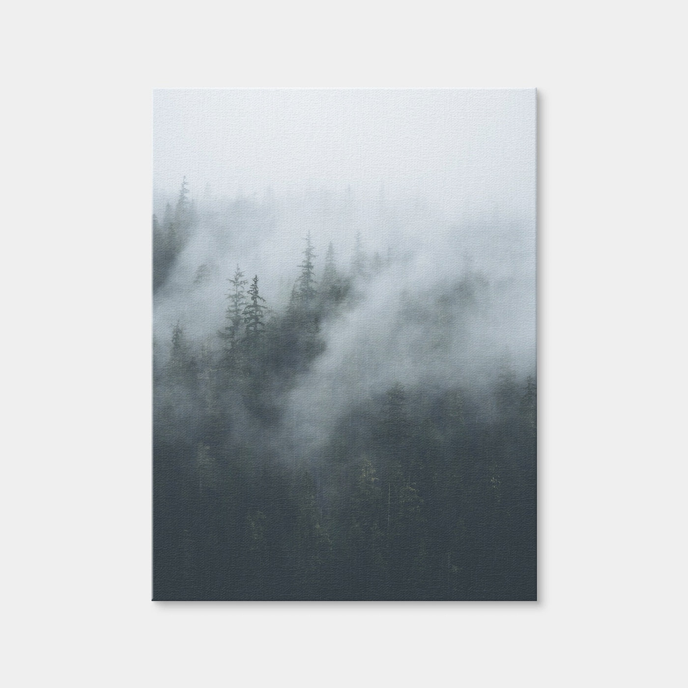 AUTO-MOCKUP WHITE | Misty Trees 4 | 1 Piece | Gallery Wrap Canvas | group=3x4