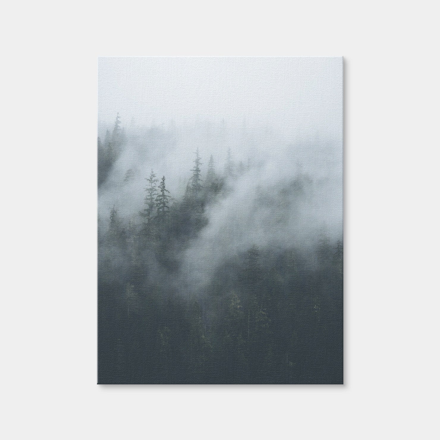 AUTO-MOCKUP WHITE | Misty Trees 4 | 1 Piece | Gallery Wrap Canvas | group=3x4