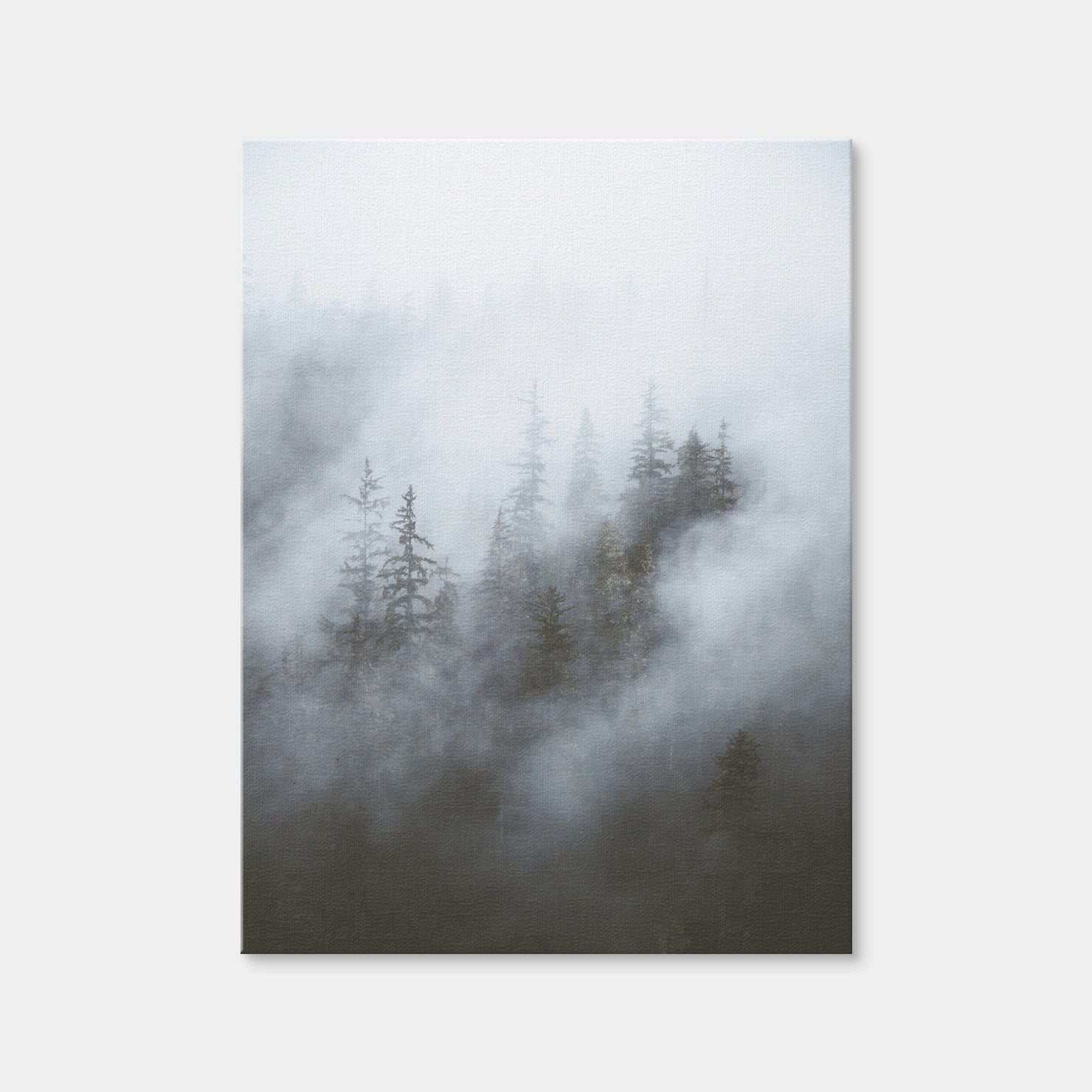 AUTO-MOCKUP WHITE | Misty Trees | 1 Piece | Gallery Wrap Canvas | group=3x4