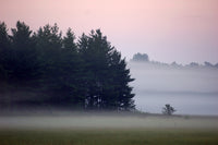 Misty Wisconsin Morning Castle Rock Lake Wall Art