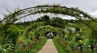 Monet's Garden Wall Art