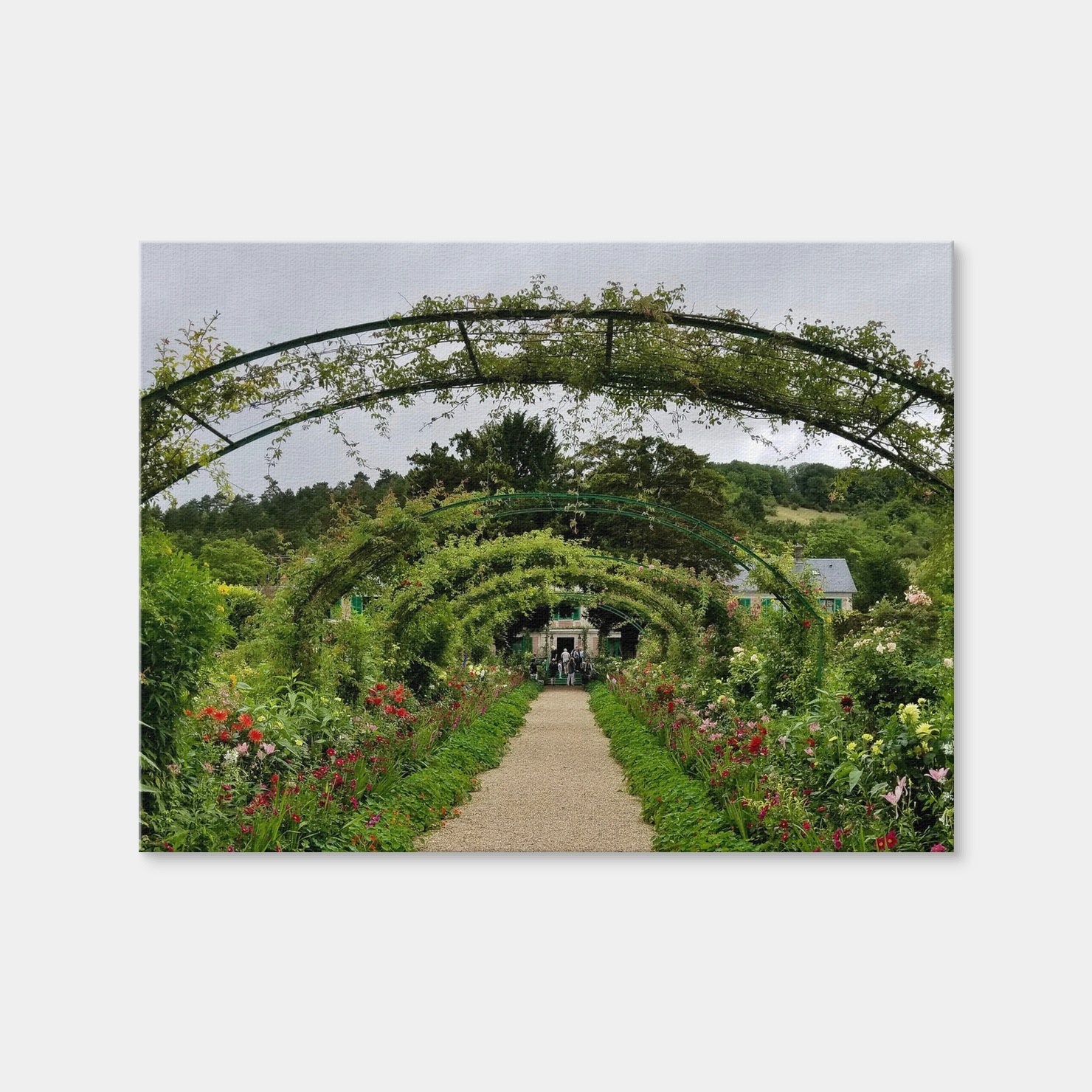 AUTO-MOCKUP WHITE | Monet's Garden | 1 Piece | Gallery Wrap | group=4x3