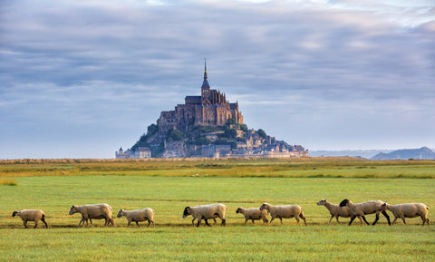 Mont Saint Michel Abbey Wall Art