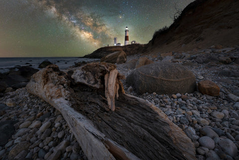 Montauk NY Driftwood Beach Wall Art