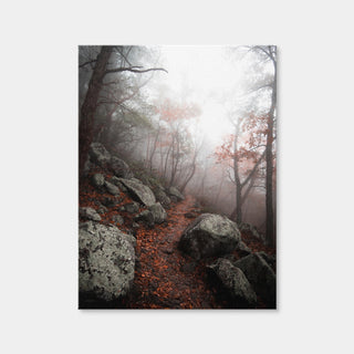 AUTO-MOCKUP WHITE | Moody Forest | 1 Piece | Gallery Wrap Canvas | group=3x4