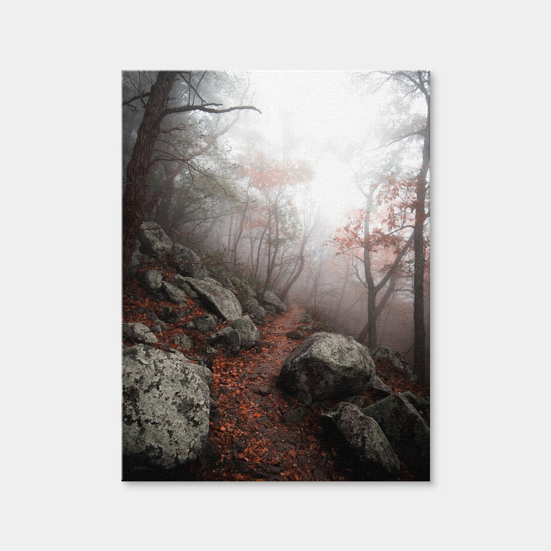 AUTO-MOCKUP WHITE | Moody Forest | 1 Piece | Gallery Wrap Canvas | group=3x4