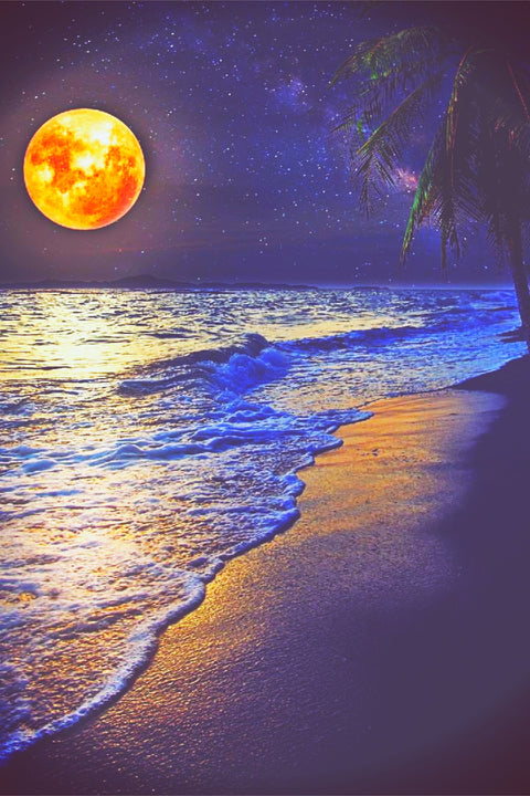 Moonlight Oceanview Wall Art