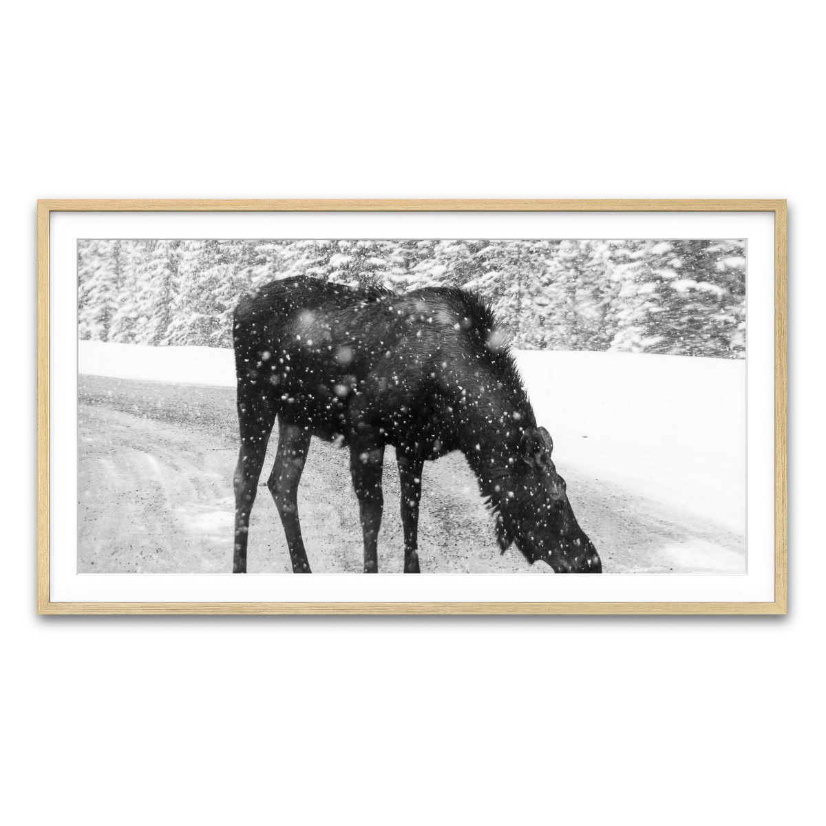 Moose Wall Art