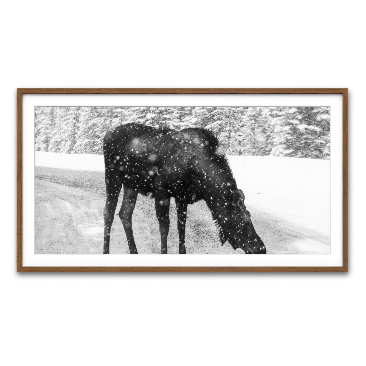 Moose Wall Art