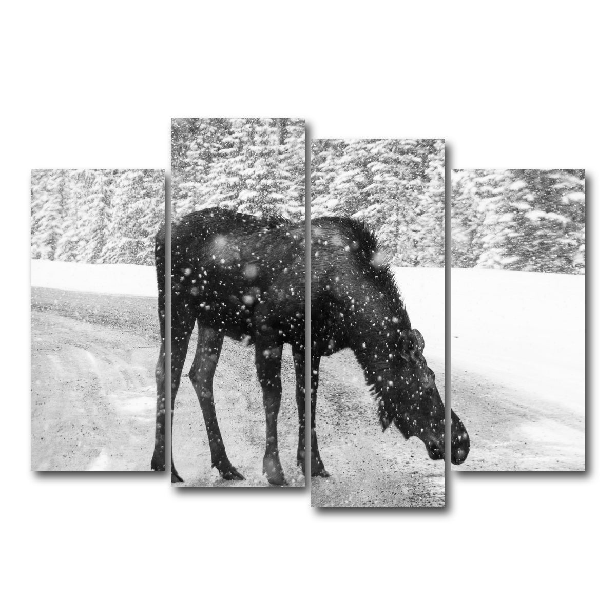 Moose Wall Art