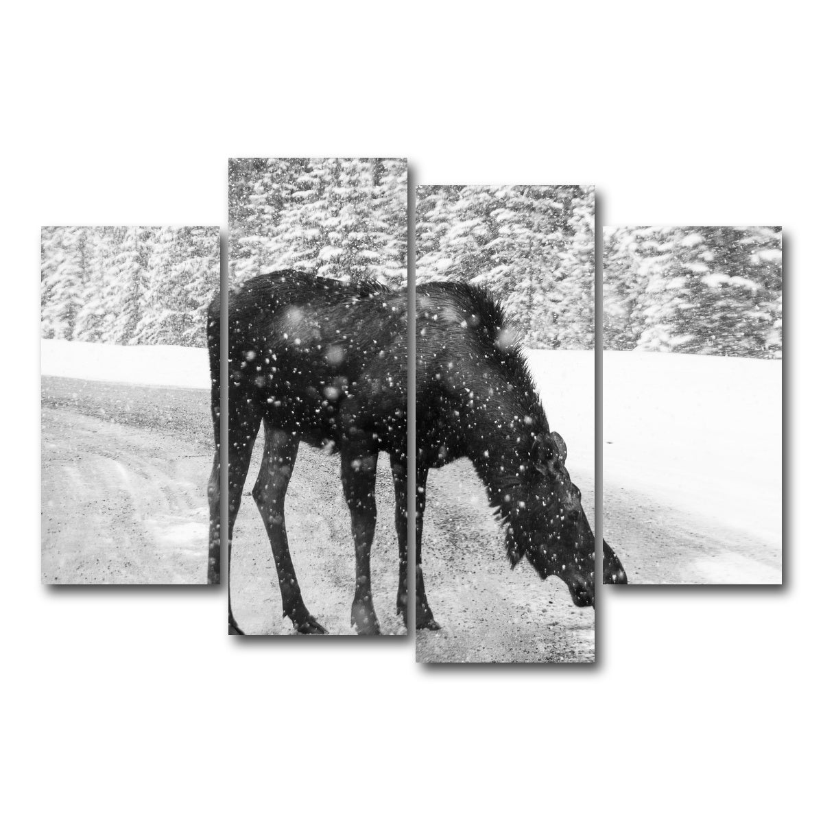 Moose Wall Art