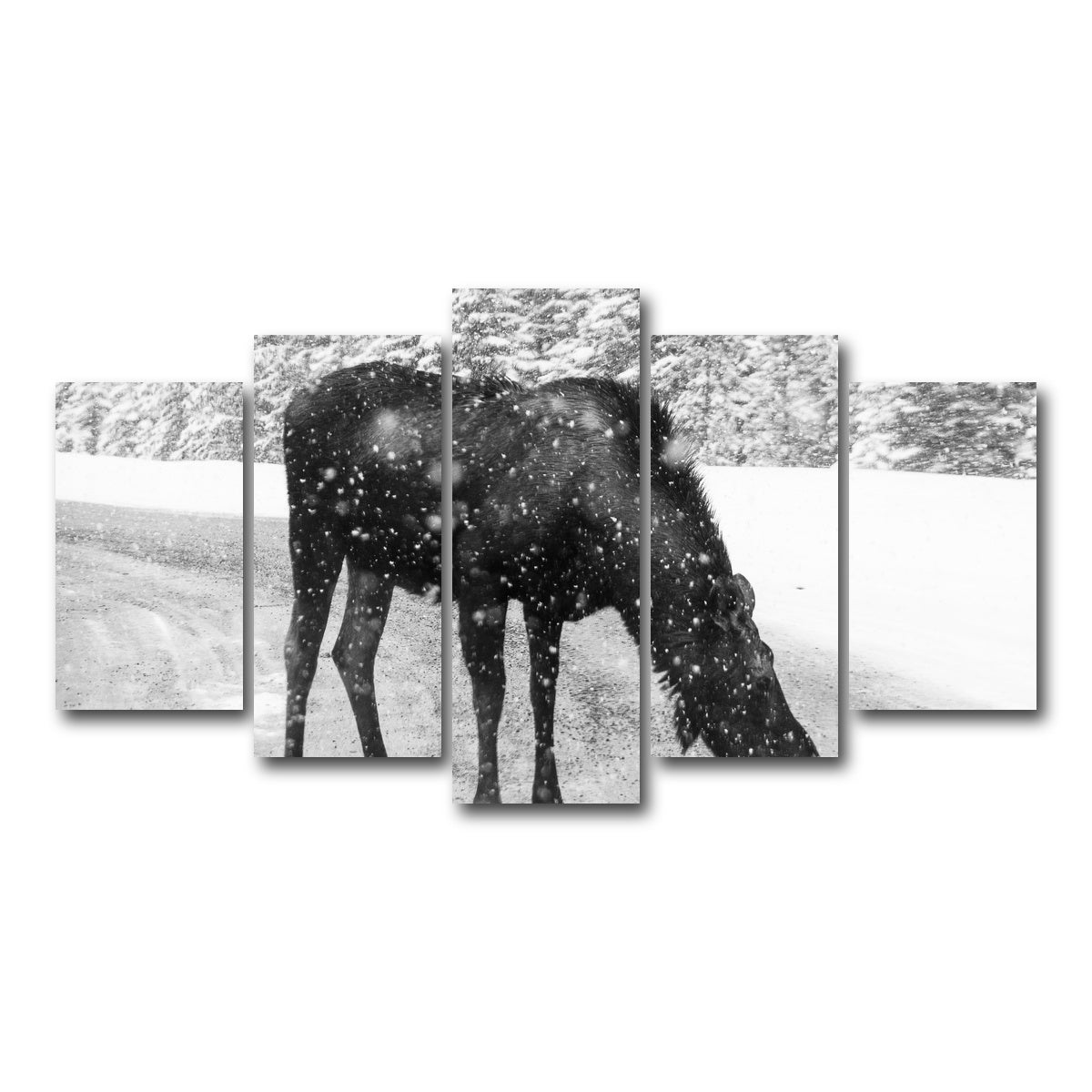 Moose Wall Art