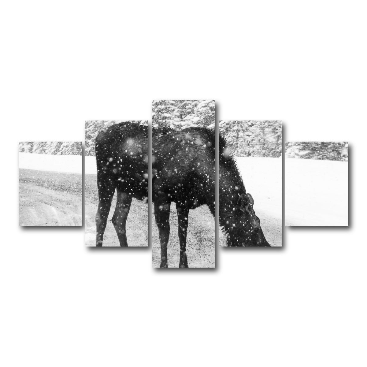 Moose Wall Art